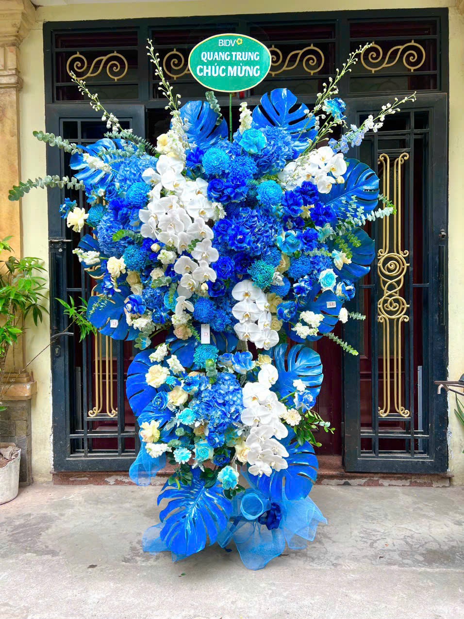 Hoa chúc mừng - CM044