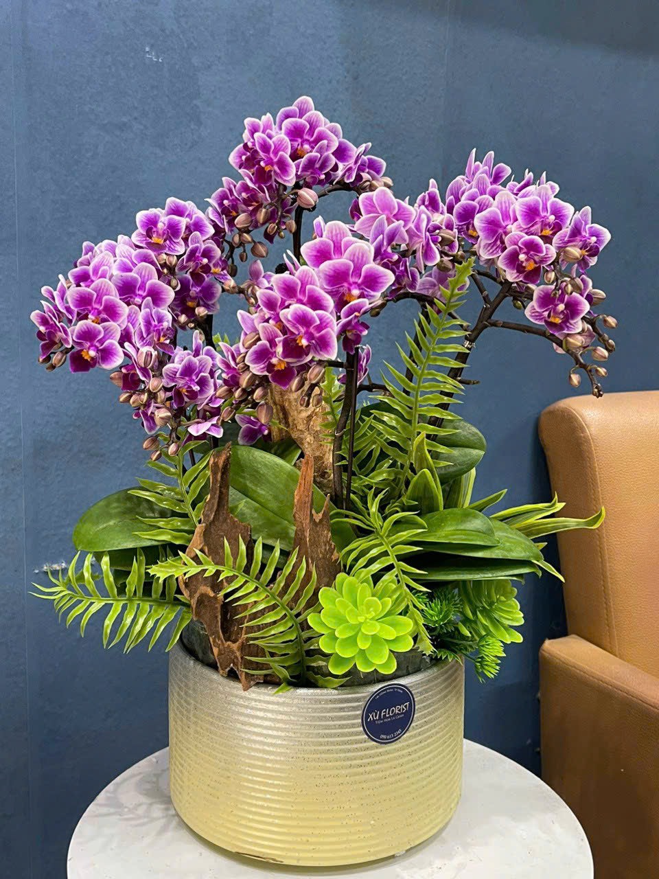 Lan hồ điệp - LHĐ005