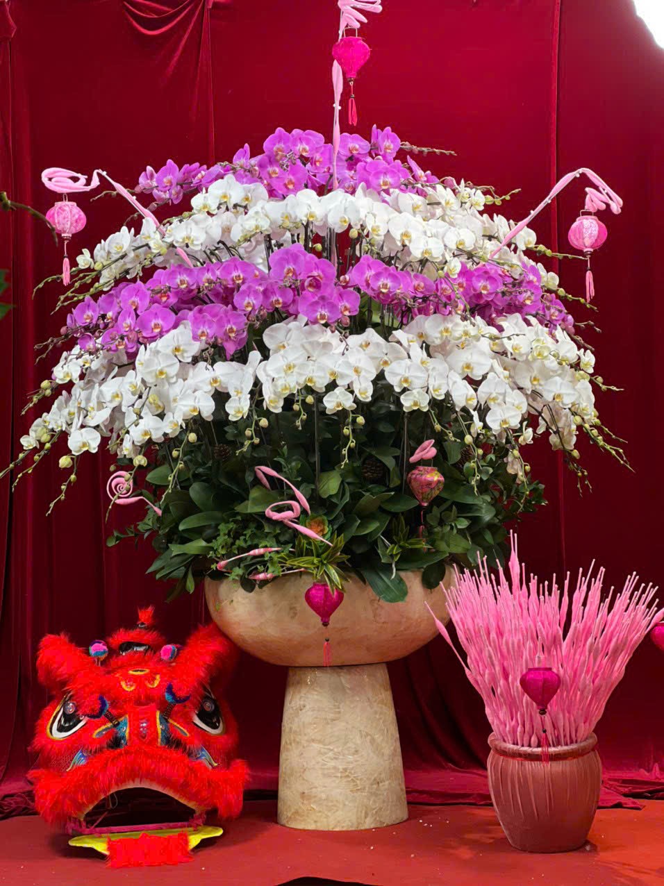 Lan hồ điệp - LHĐ008