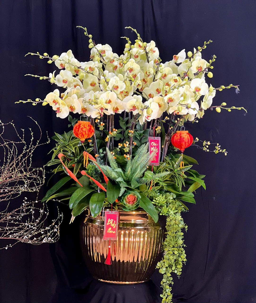 Lan hồ điệp - LHĐ002