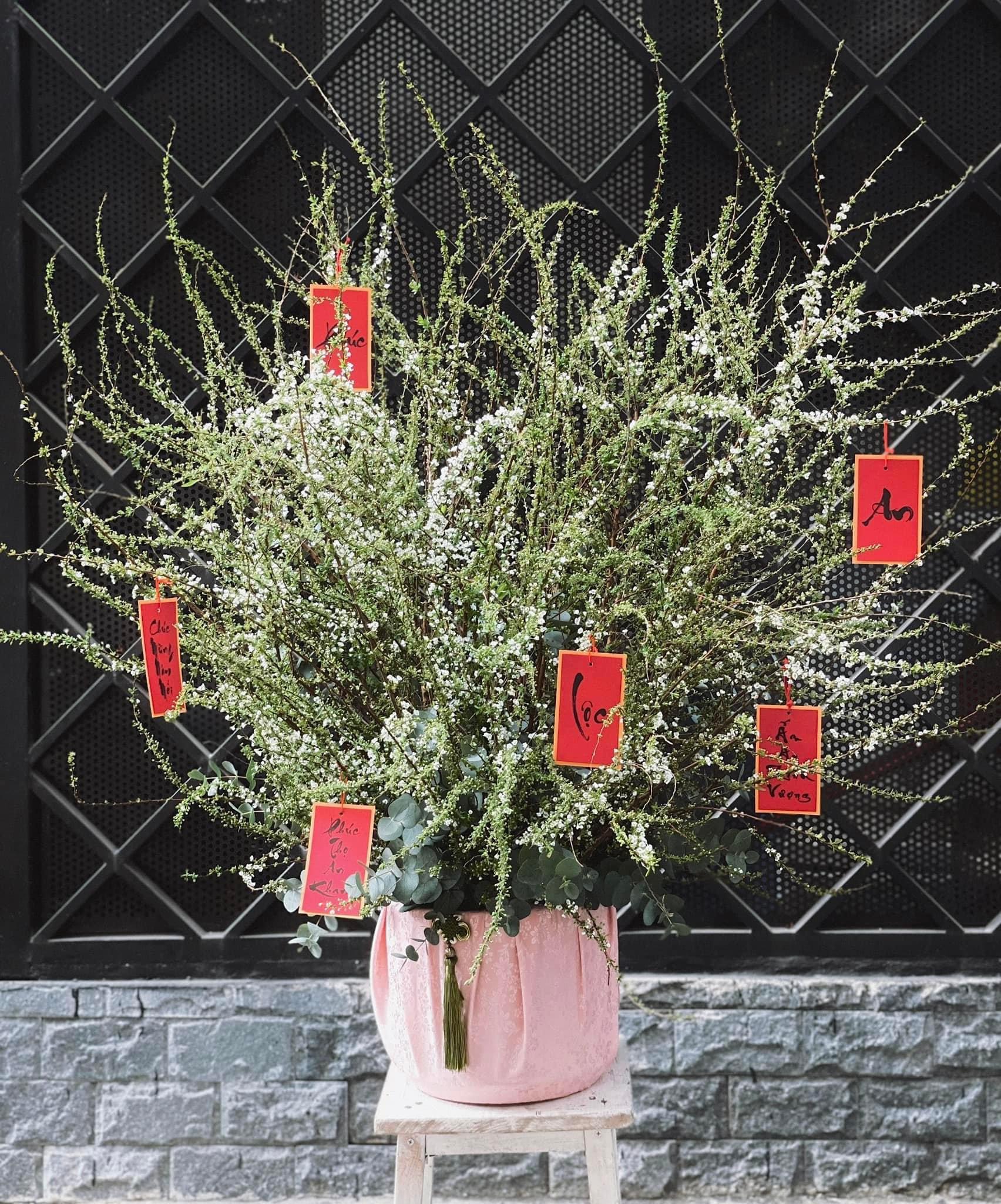 Quà tặng đi kèm_QT007